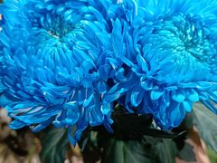 -二酉书店TOYOU BOOKS