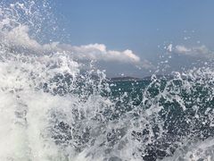 -宴悦海鲜餐厅·游水海鲜·牛排(亚龙湾瑞吉店)