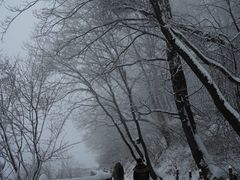 -少华山国家森林公园