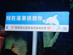 -蓬莱欧乐堡海洋极地世界