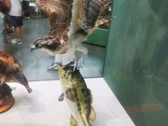 -国家自然博物馆