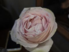 -1861意大利餐厅(文化广场店)