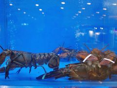 -大头椰·椰子鸡火锅(南宁万象城店)