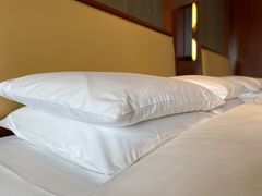 -上海雅居乐万豪侯爵酒店