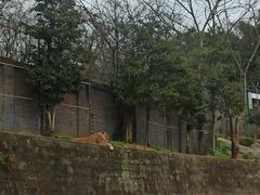 -乐和乐都主题乐园