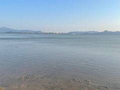 -深圳湾公园(南山区)