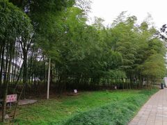 -西南政法大学(渝北校区)