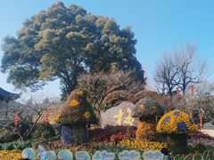 -无锡梅园公园