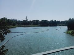 -尚贤河湿地