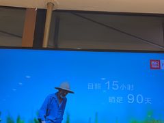 -西贝(武汉群星城店)
