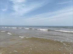 -日照海滨国家森林公园
