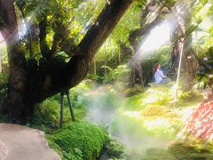 -Chom Cafe and Restaurant