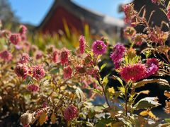 -潭柘寺景区