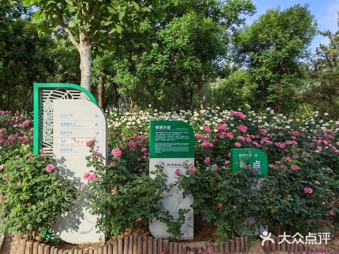 坝河休闲公园图片