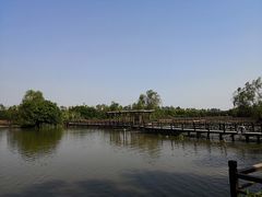 -大湾区中央湿地公园
