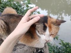 -晓港公园