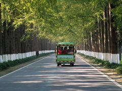 -黄海国家森林公园