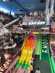 -卡通尼·Safari非洲探索乐园·生日会(金桥国际商业广场店)