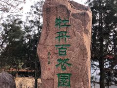 -洛阳市隋唐城遗址植物园