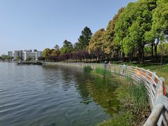 -美兰湖景区