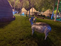 -九十九顶毡房(阜石路店)