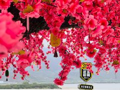 -佛掌沙丘
