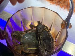 -加餐海鲜自助(集美银泰百货店)