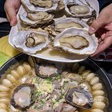 东莞探店|这里嗦贝也太惊喜了‼️每一口都鲜甜