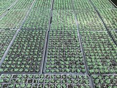 -上海多利农业发展有限公司