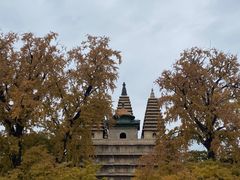 -北京石刻艺术博物馆(五塔寺)