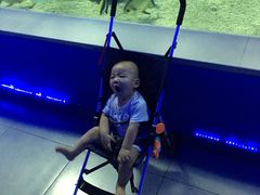-常州海昌海洋探索馆
