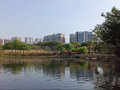 -深圳龙潭公园