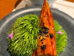 -觀芷隐轩