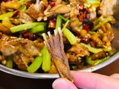 干锅牛蛙-馋嘴蛙火锅