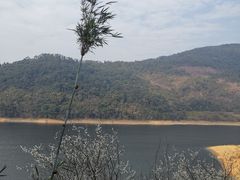 -广州市流溪河国家森林公园