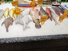 -国惠大酒楼(宝龙店)