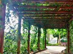 -祥源·阜阳生态乐园