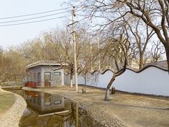 -桃花堤公园