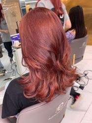 -潘多拉Hairsalon