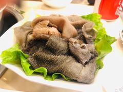-朱氏胖子烂火锅(洪崖洞店)