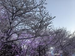 -虹口龙之梦购物中心·停车场