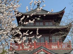 -堤角公园