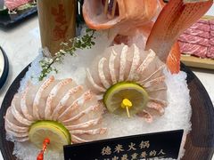 野生海鱼-德米火锅(深圳湾1号旗舰店)