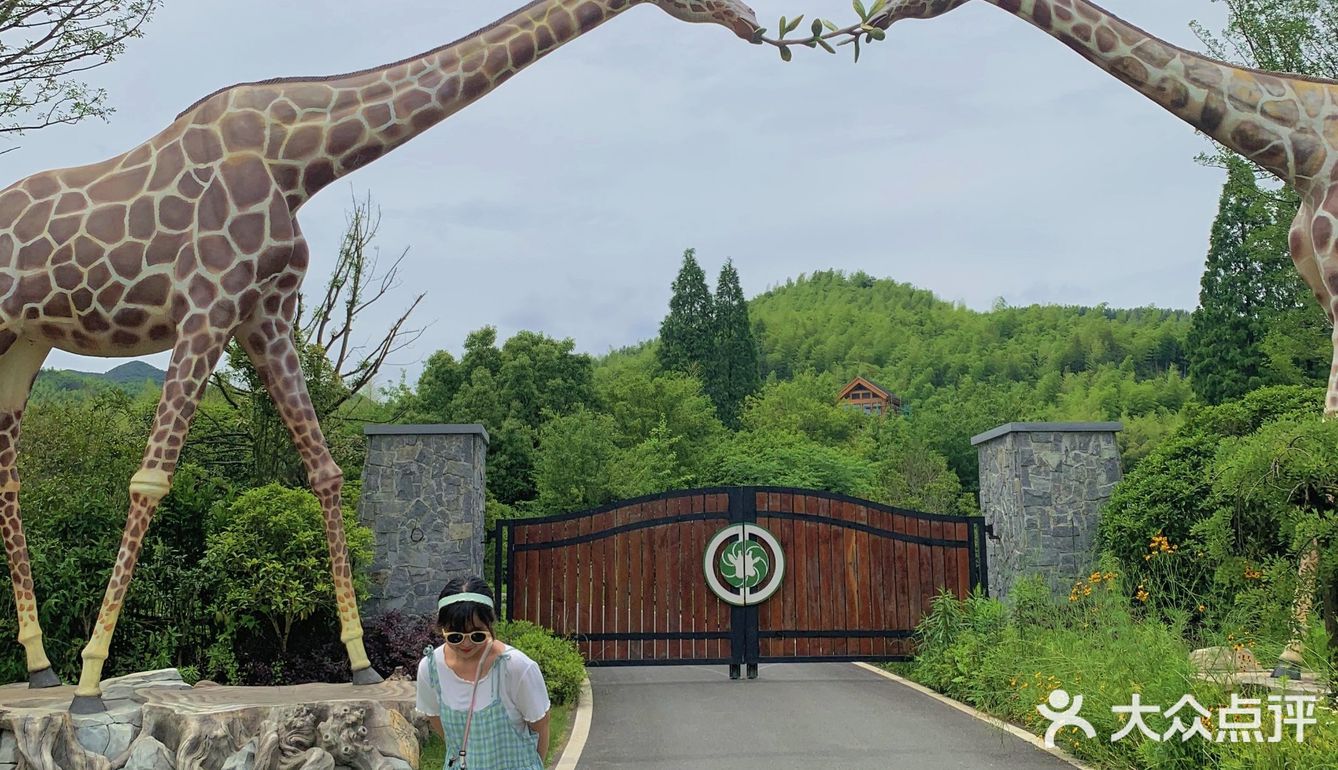 跟着跑男打卡[胜利]国内版肯尼亚9690长劲鹿庄园