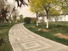 -水西公园