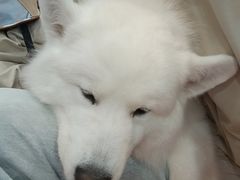 -和它·交个朋友·狗咖猫咖(爱琴海店)