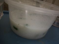 -银记肠粉店(赤岗店)