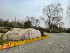 -习家池