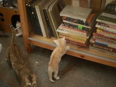 -行人小筑·茶馆(岑村火炉山分店)