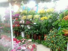 android_upload_pic-无锡文化工艺品市场(槐古路店)